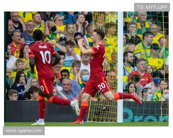 诺维奇卡罗路球场 诺维奇卡罗路球场